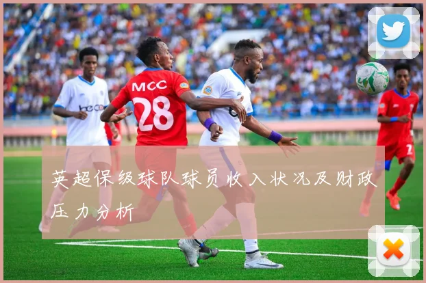 英超保级球队球员收入状况及财政压力分析