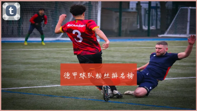 德甲球队粉丝排名榜