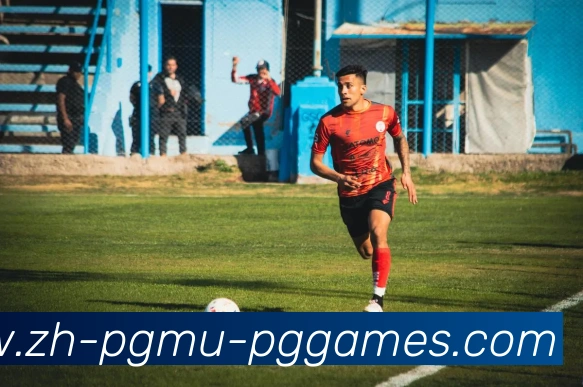 PG模拟器平台生态图