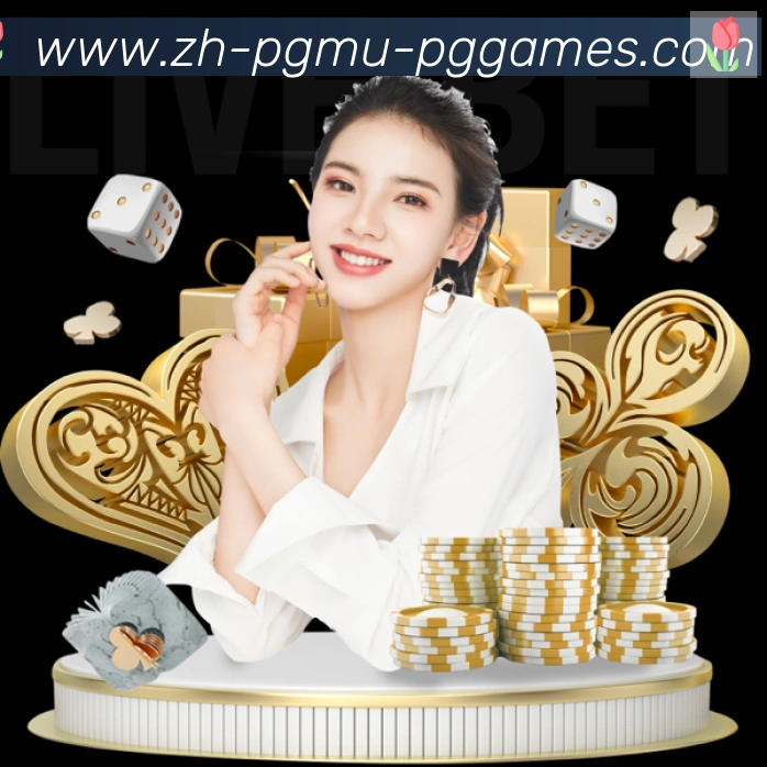 未来规划