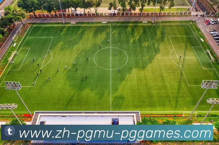 PG模拟器APP 封面图